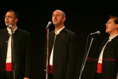 IMG_4248