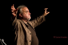 Željko Vukmirica: Povijest moje gluposti