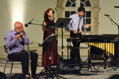 Harlequin Art Collective