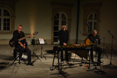 Jazz Continuo - glazba Boška Petrovića