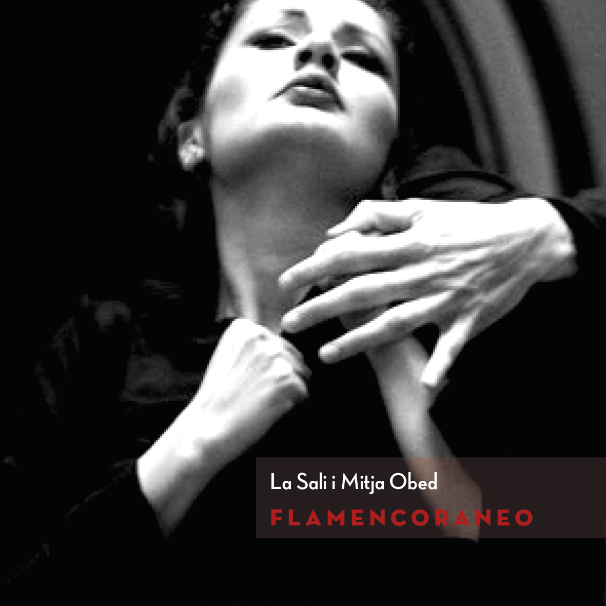 01a FLAMENCORANEO performans La Sali Mitja Obed